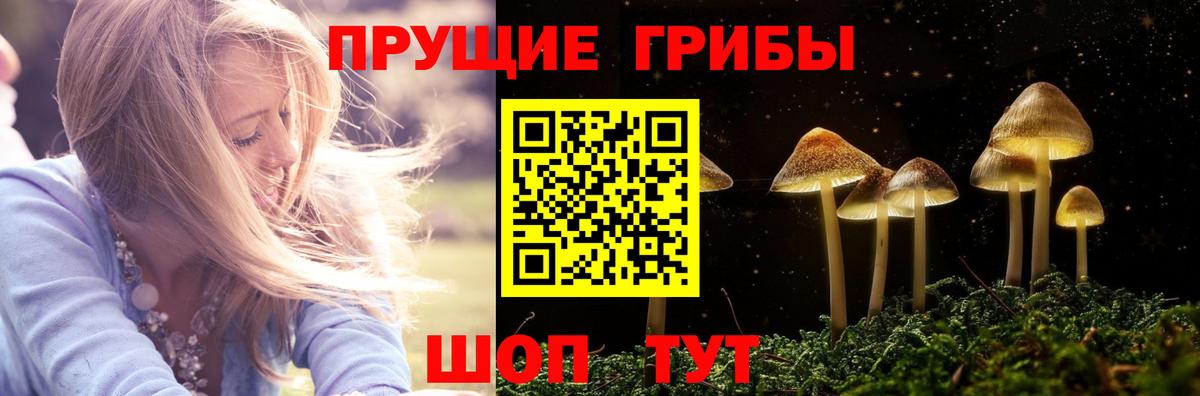 Псилоцибиновые грибы прущие грибы  Вход с VPN  Тюмень 